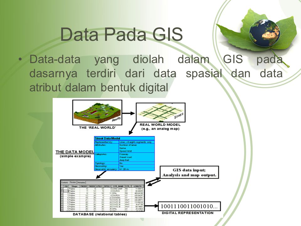 Detail Contoh Data Atribut Nomer 19