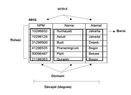 Detail Contoh Data Atribut Nomer 23