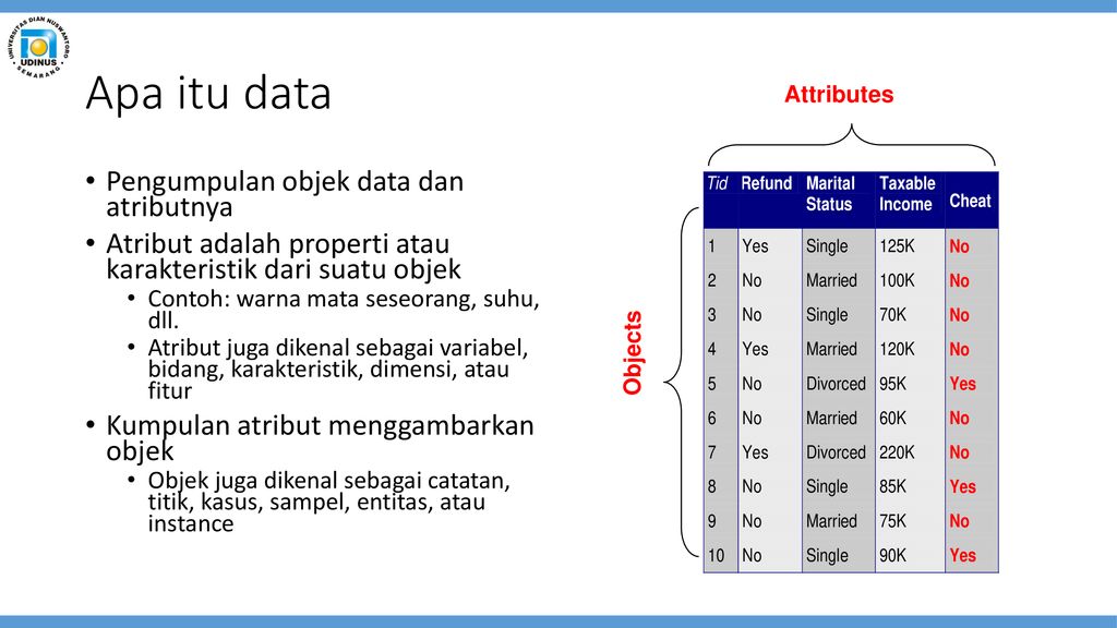 Detail Contoh Data Atribut Nomer 24