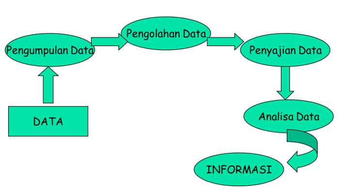 Contoh Data Dan Informasi - KibrisPDR