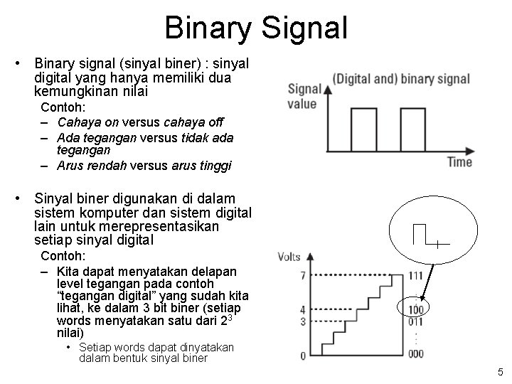 Detail Contoh Data Digital Nomer 37