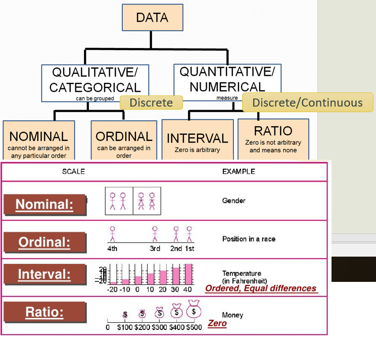 Detail Contoh Data Interval Dan Rasio Nomer 51
