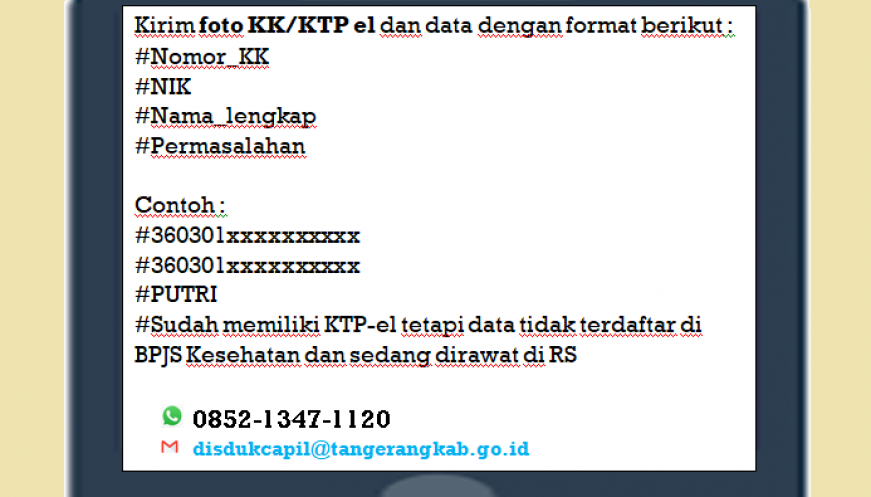 Detail Contoh Data Kependudukan Nomer 43