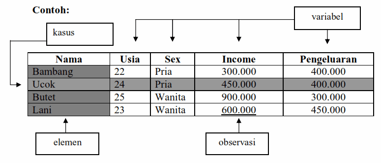 Detail Contoh Data Kontinyu Nomer 27