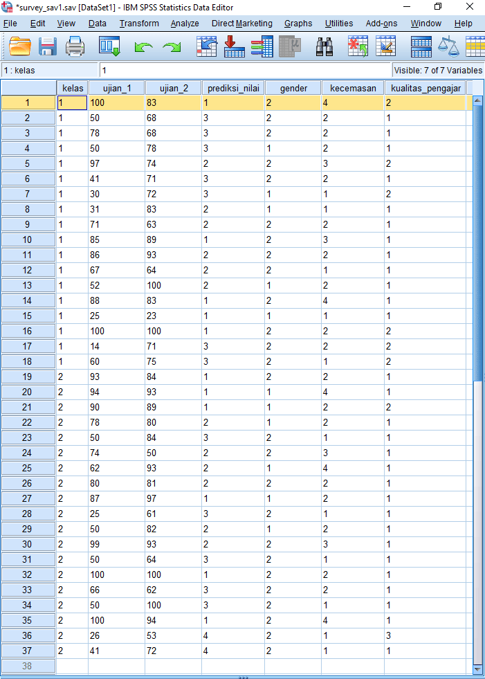 Detail Contoh Data Kuesioner Nomer 13