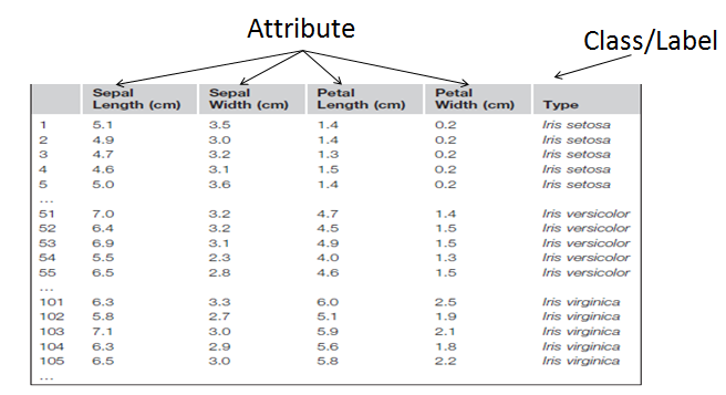 Detail Contoh Data Mining Nomer 5