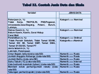 Detail Contoh Data Numerik Nomer 28