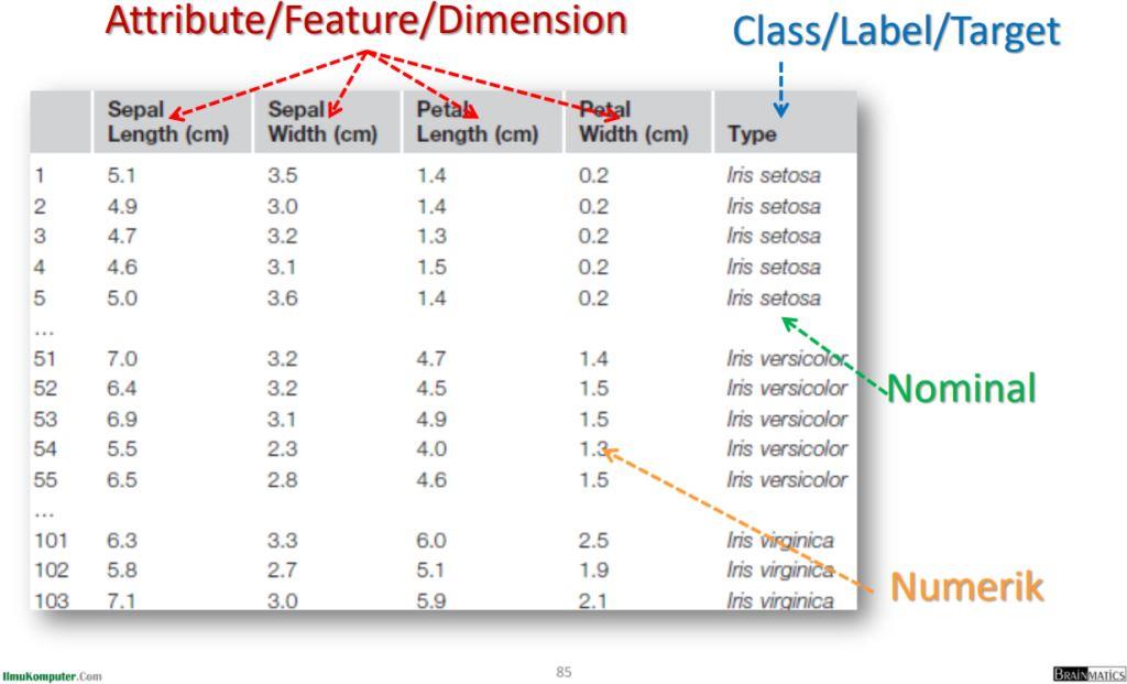 Detail Contoh Data Set Nomer 9