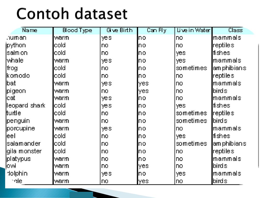 Detail Contoh Data Set Nomer 5