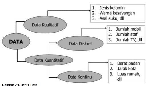 Detail Contoh Data Statistik Ekonomi Nomer 54