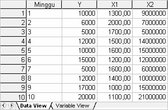 Detail Contoh Data Variabel Nomer 14