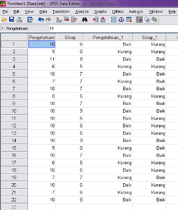 Detail Contoh Data Variabel Nomer 17