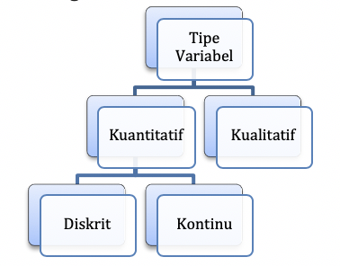 Detail Contoh Data Variabel Nomer 47