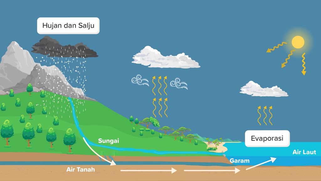 Detail Contoh Daur Biogeokimia Nomer 20