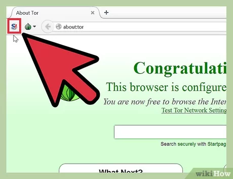 Detail Contoh Deep Web Nomer 16