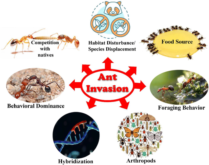 Detail Contoh Demonstration Effect Nomer 49