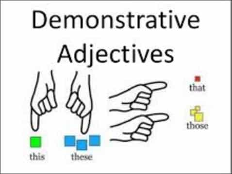 Detail Contoh Demonstrative Pronoun Nomer 14