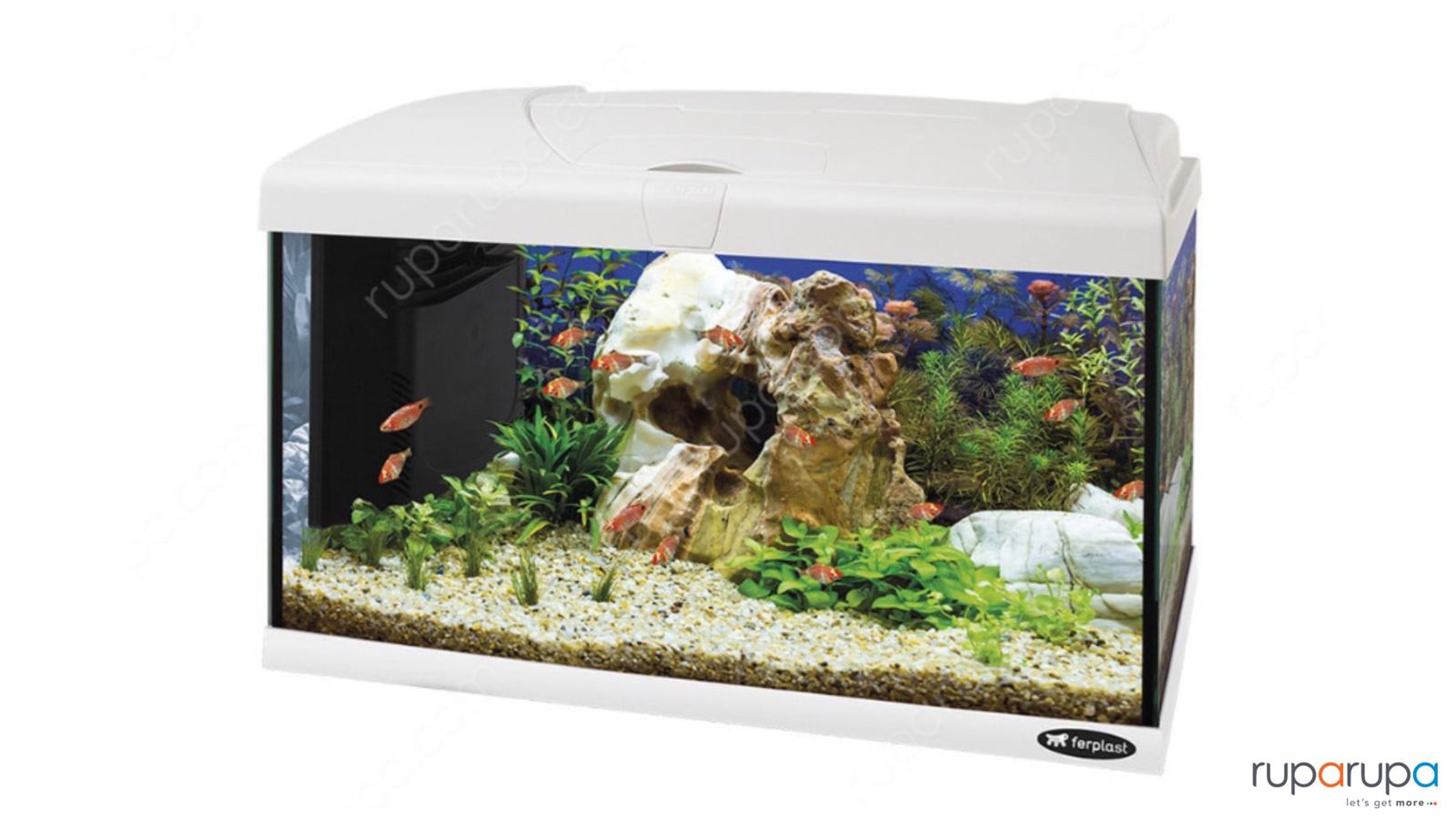 Detail Contoh Desain Aquarium Dinding Nomer 54