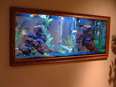 Detail Contoh Desain Aquarium Dinding Nomer 7