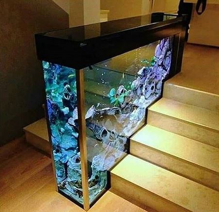 Detail Contoh Desain Aquarium Dinding Nomer 8