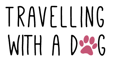 Detail Corgi Pudel Mix Nomer 16
