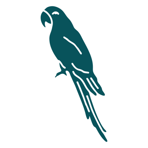 Detail Der Papagei Ein Vogel Ist Nomer 13