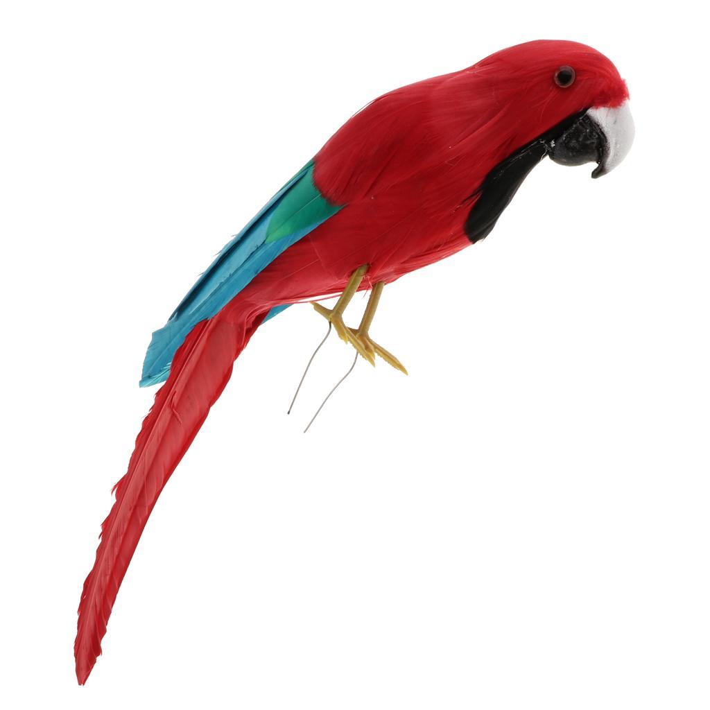 Detail Der Papagei Ein Vogel Ist Nomer 18
