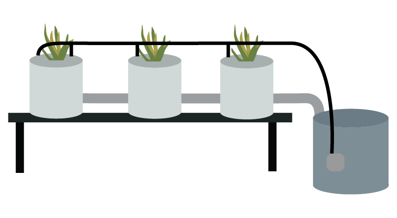 Dutch Bucket System Diagram - KibrisPDR