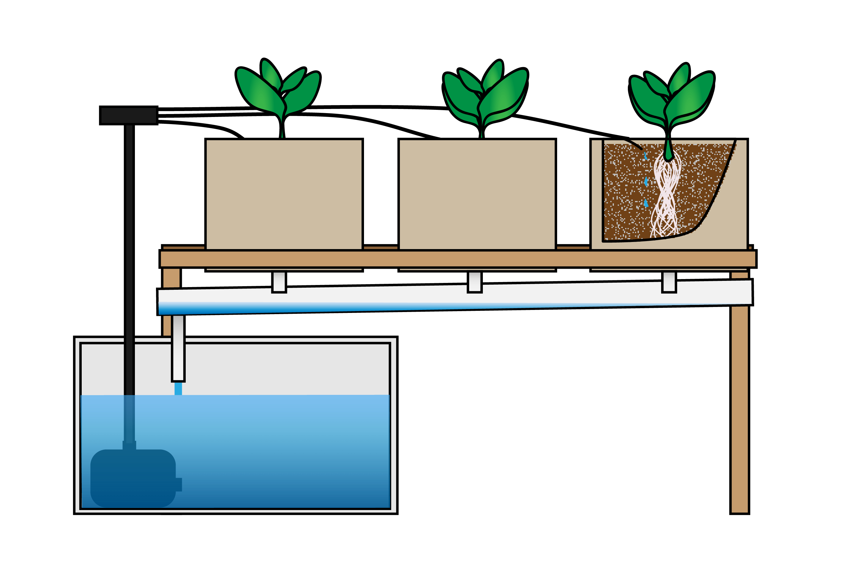 Detail Dutch Bucket System Diagram Nomer 11