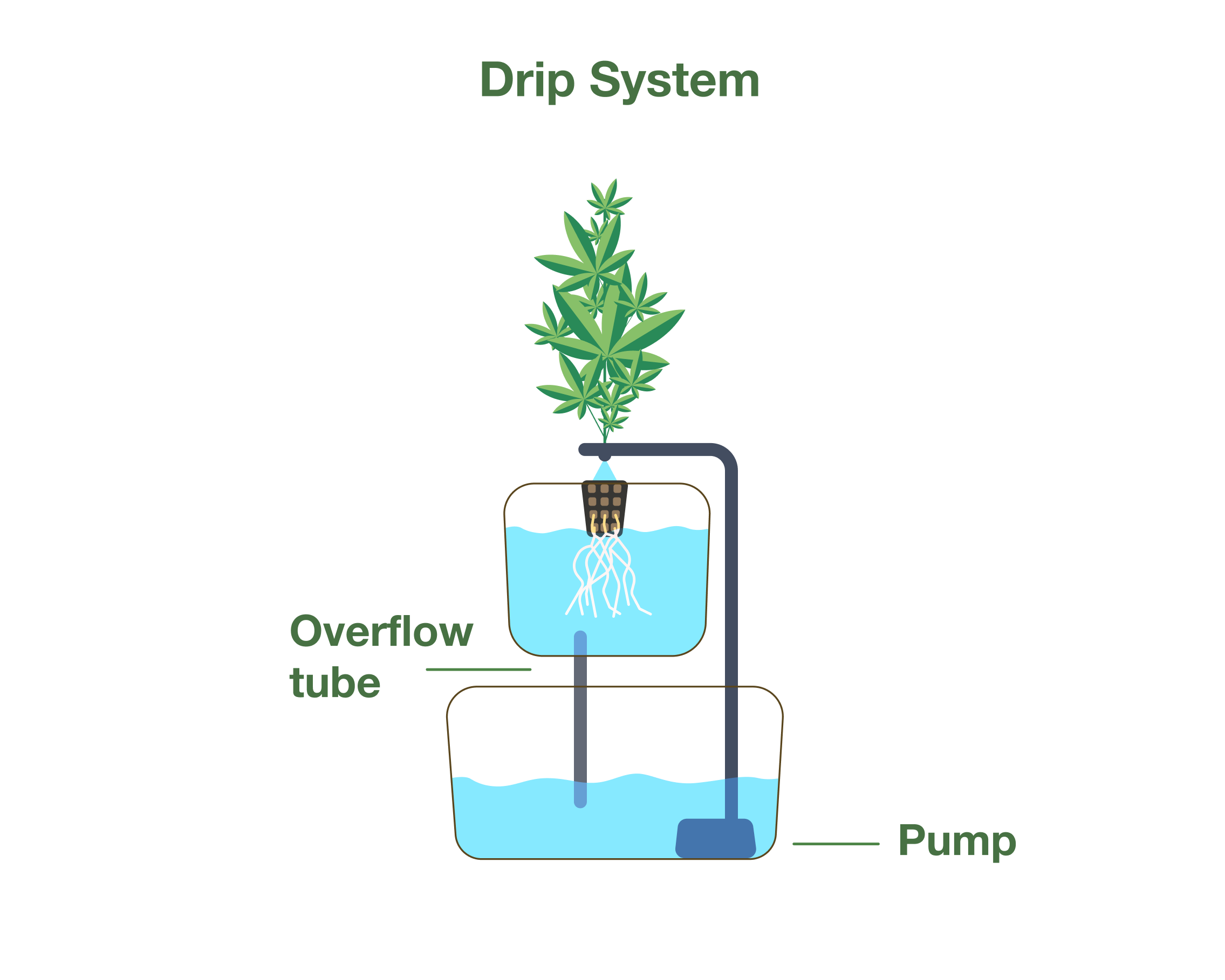 Detail Dutch Bucket System Diagram Nomer 17