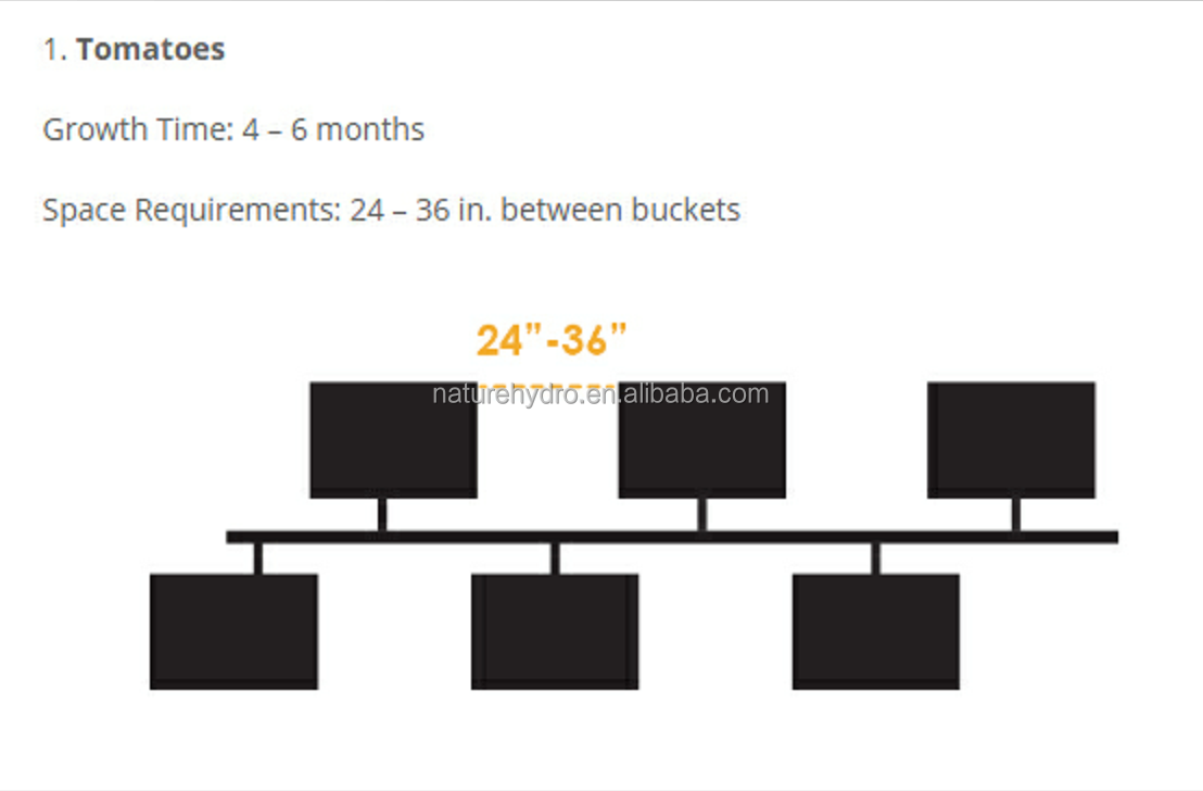 Detail Dutch Bucket System Diagram Nomer 19