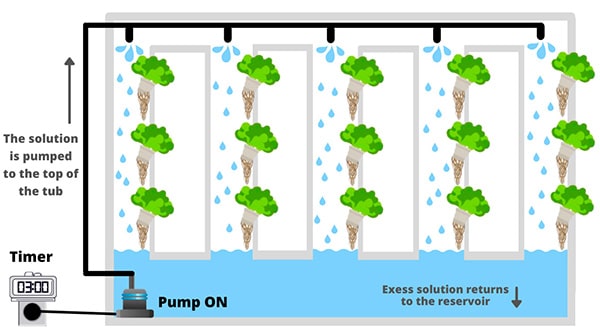 Detail Dutch Bucket System Diagram Nomer 21