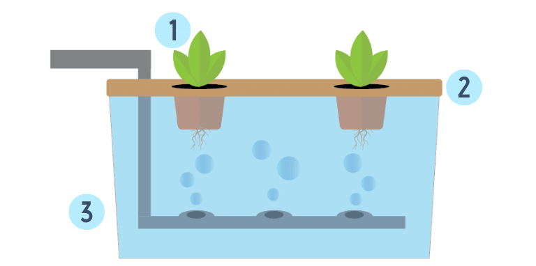 Detail Dutch Bucket System Diagram Nomer 3
