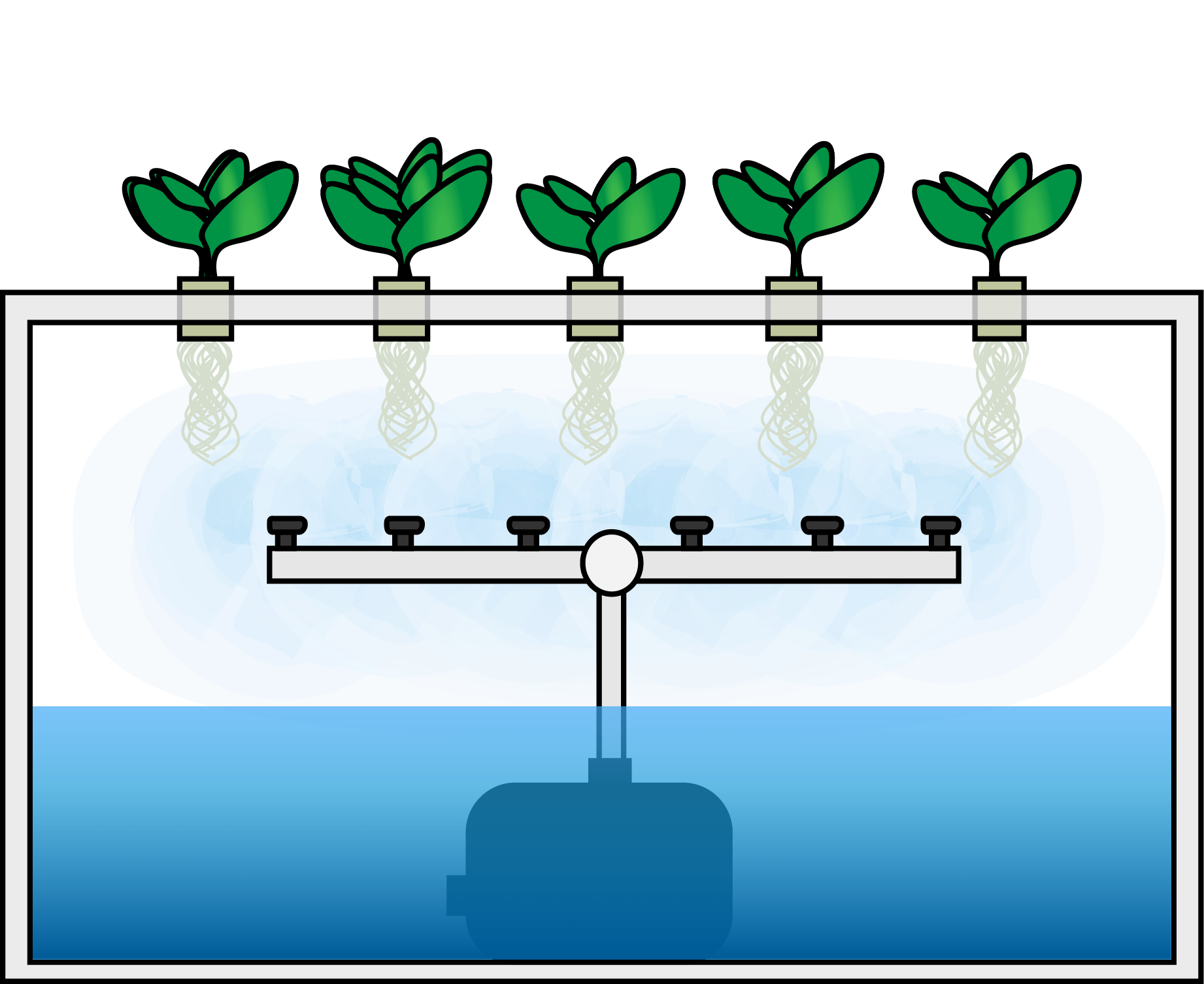 Detail Dutch Bucket System Diagram Nomer 4