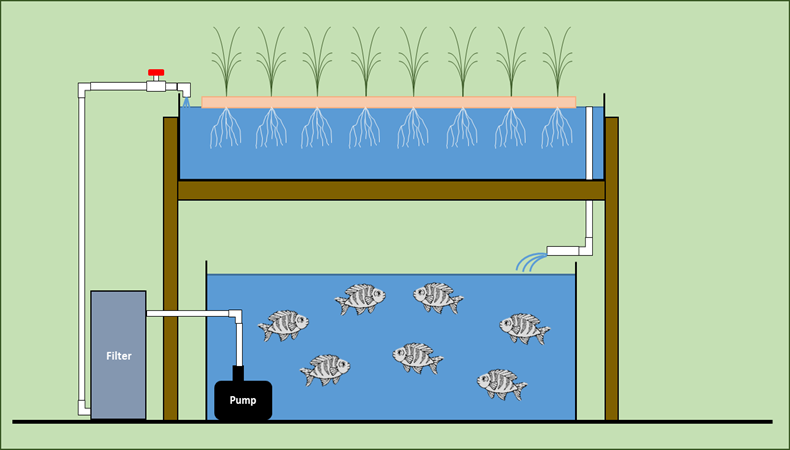 Detail Dutch Bucket System Diagram Nomer 6