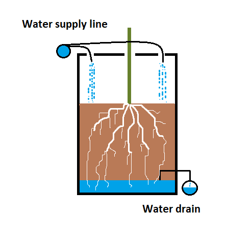 Detail Dutch Bucket System Diagram Nomer 7