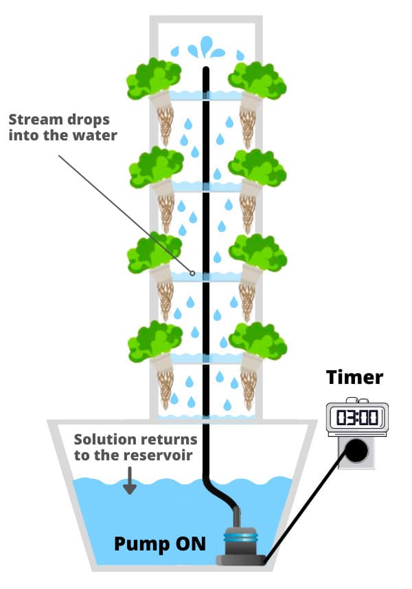 Detail Dutch Bucket System Diagram Nomer 8