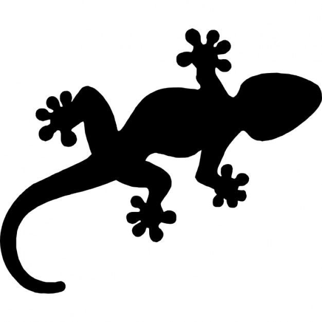 Gecko Zeichnung - KibrisPDR