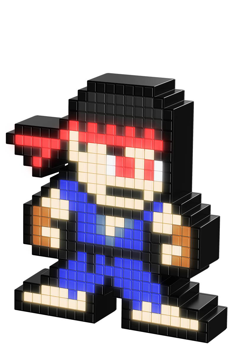 Detail Pixel Pals Ryu Nomer 5
