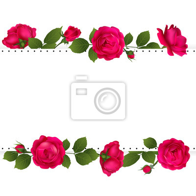 Detail Rosen Blumen Bilder Nomer 3