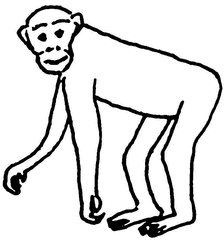 Detail Affe Gezeichnet Nomer 4