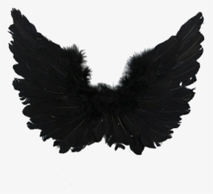 Detail Black Wings Aesthetic Nomer 11