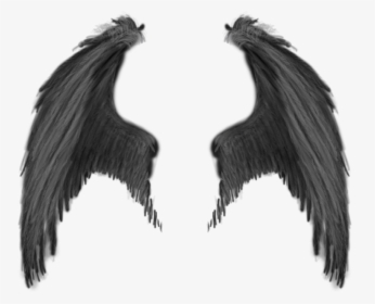 Detail Black Wings Aesthetic Nomer 15