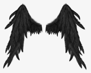 Detail Black Wings Aesthetic Nomer 24