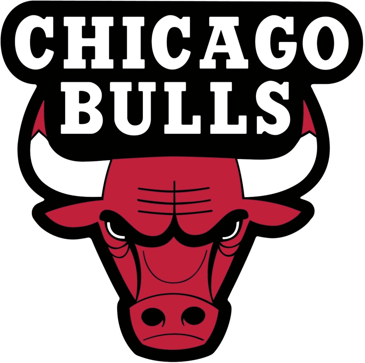 Detail Chicago Bulls Logo Nomer 8