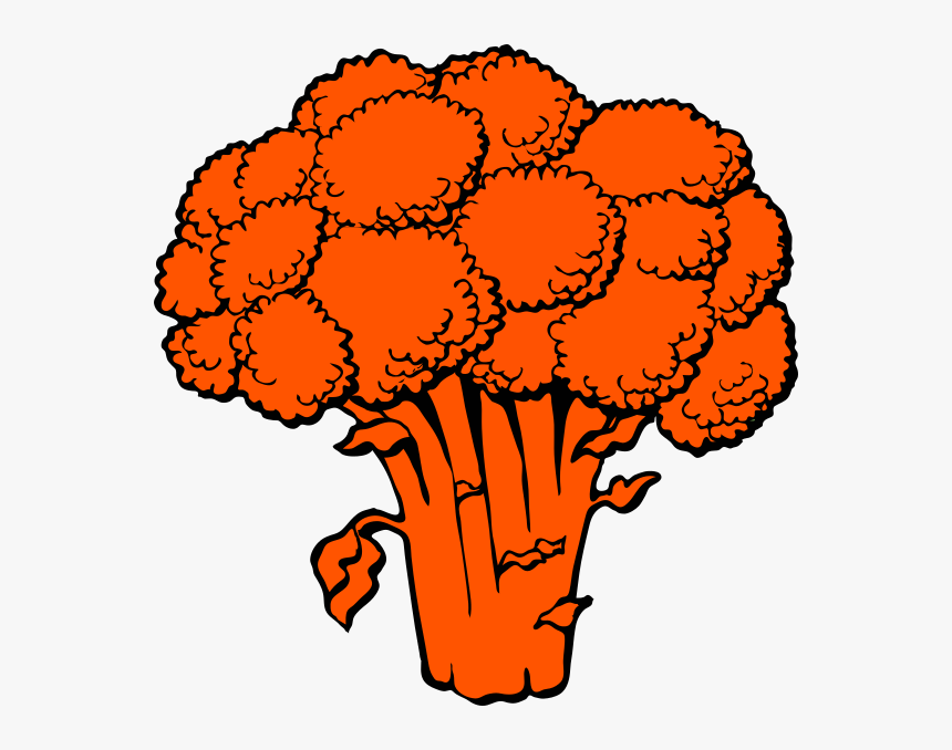 Detail Foto Broccoli Nomer 21