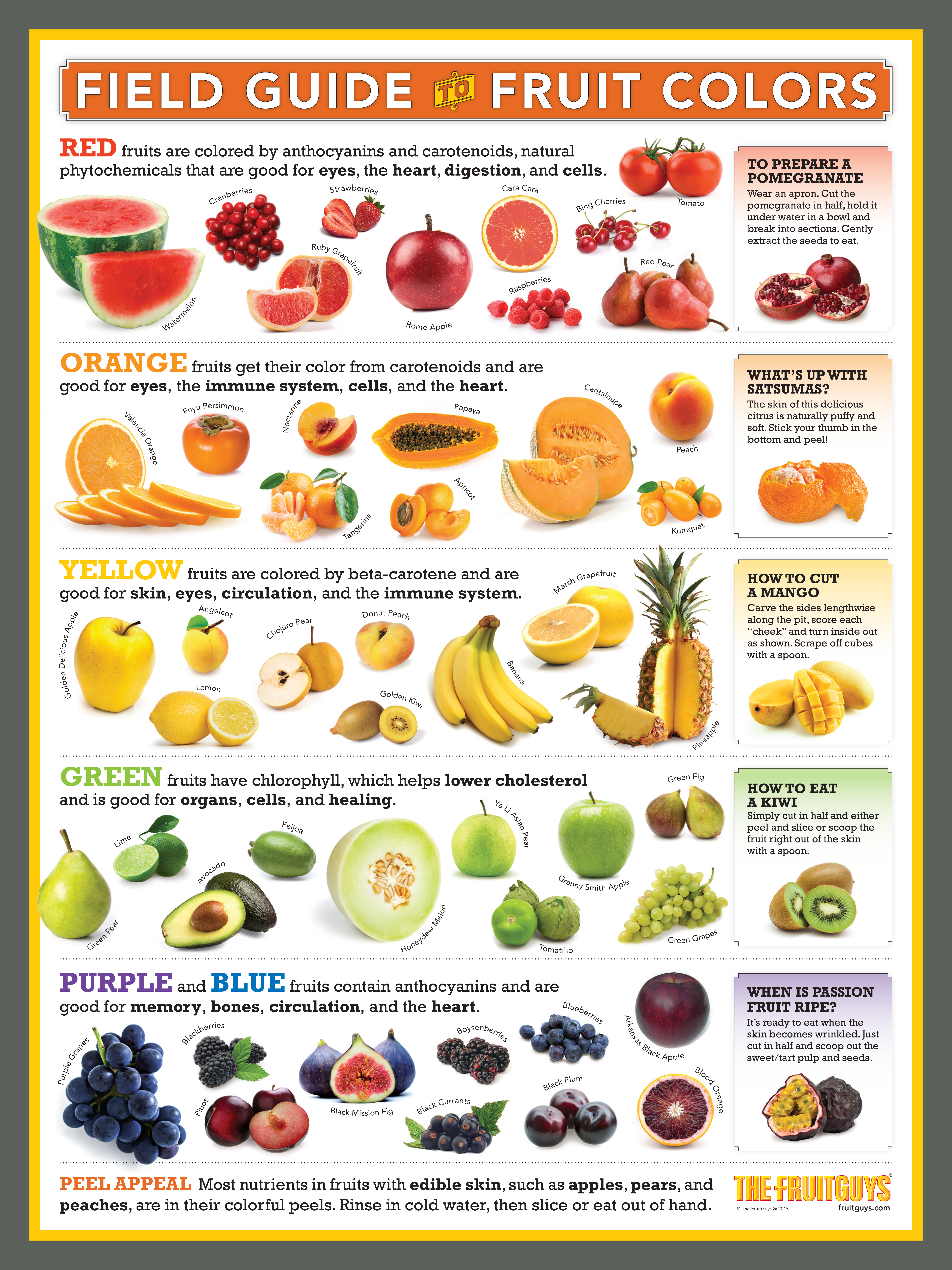 Detail Gambar Fruits Nomer 3