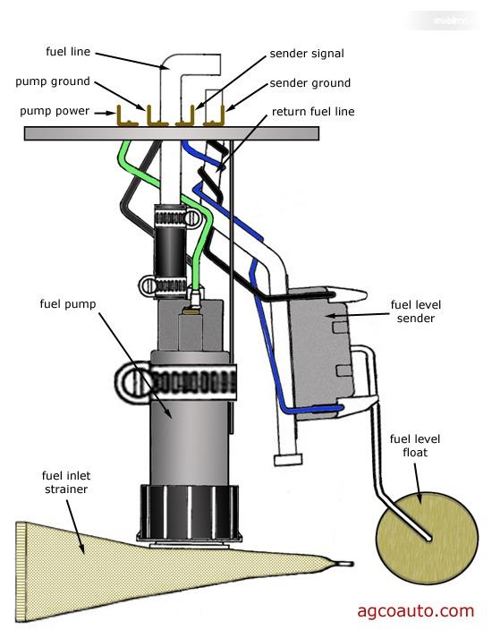 Detail Gambar Fuel Pump Mobil Nomer 51