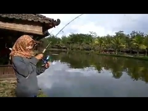 Download Gambar Gadis Cantik Mancing Nomer 3