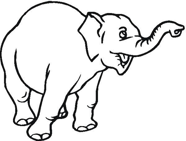 Detail Gambar Gajah Cartoon Nomer 50
